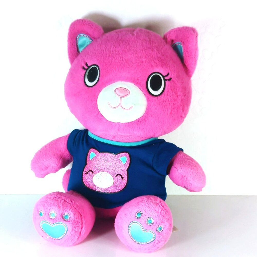 Build A Bear Kabu Catlynn Pink Cat With Matching Top 2018 Kawaii Collection 16"